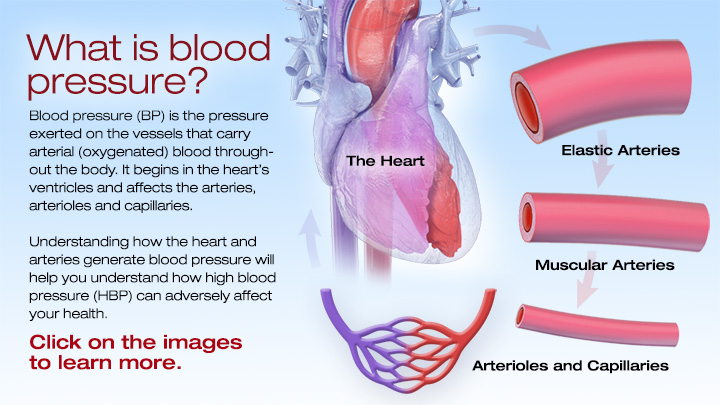 Blood pressure in store the capillaries